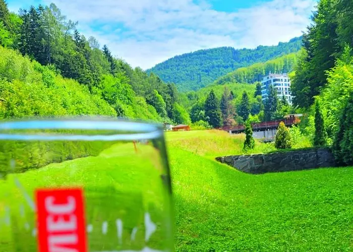 Spokoloko Kurort Kozubnik Uroczysko Wilka